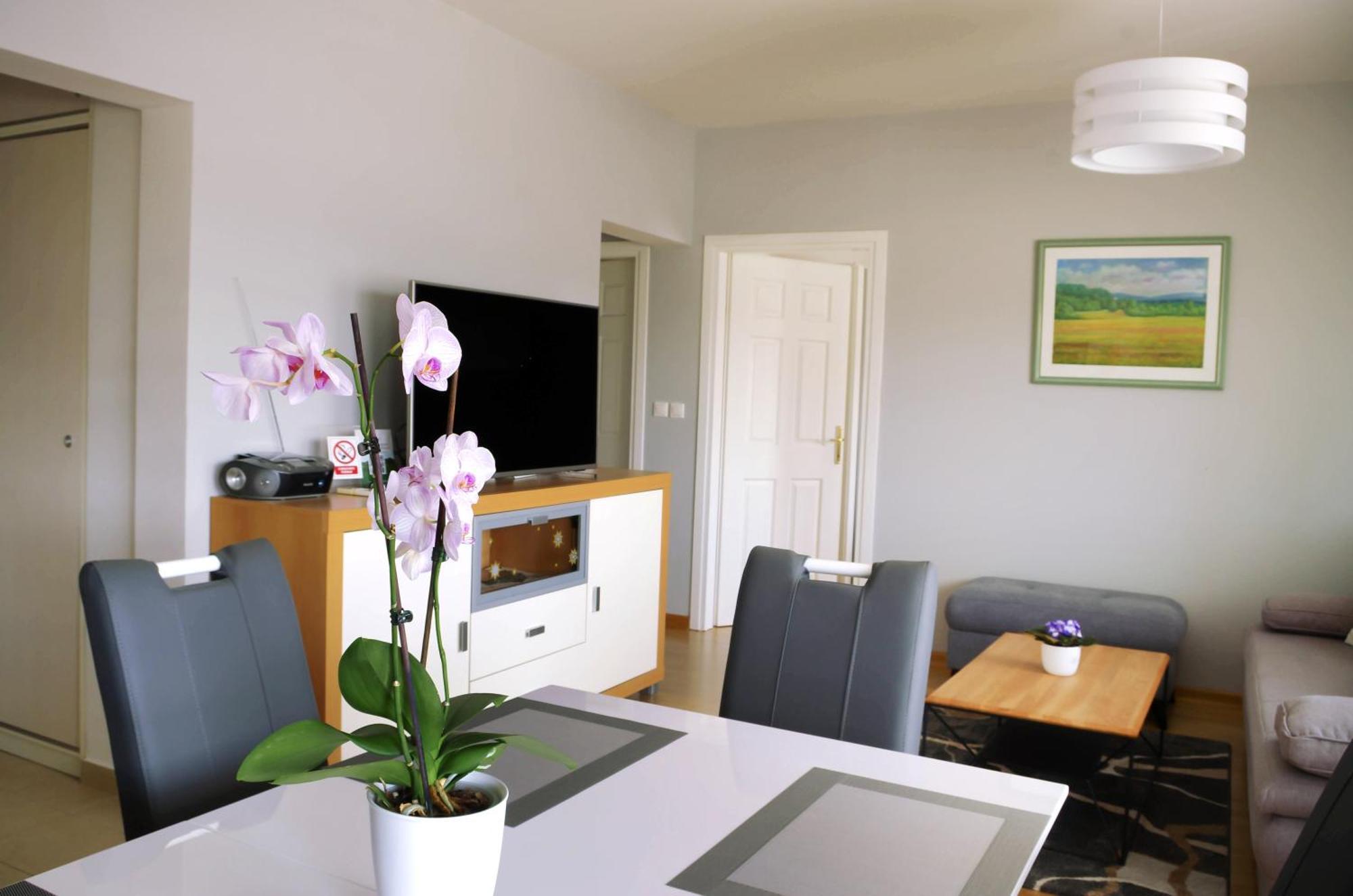 Apartman Dada Krapinske Toplice Exterior photo
